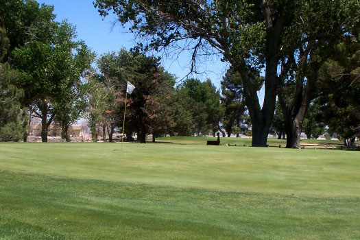 Course greens
