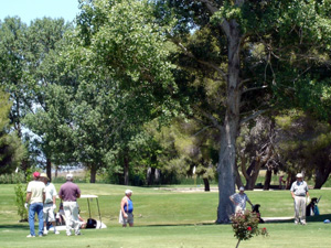 Golfers on the field 